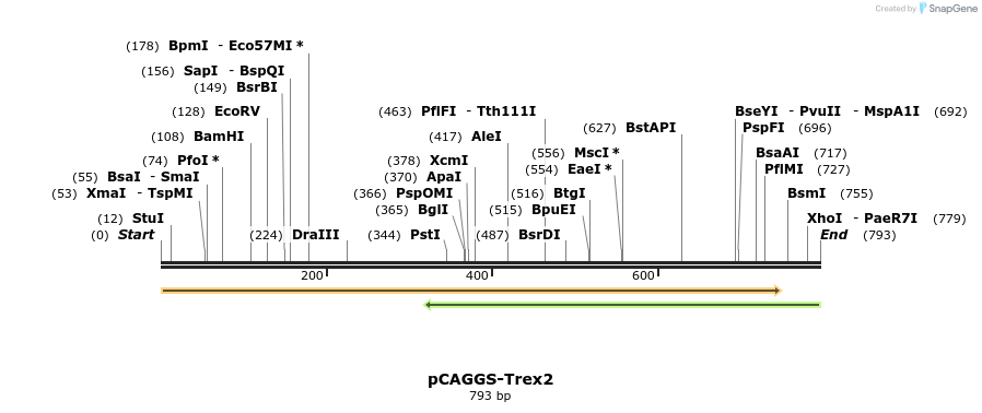 149556_map