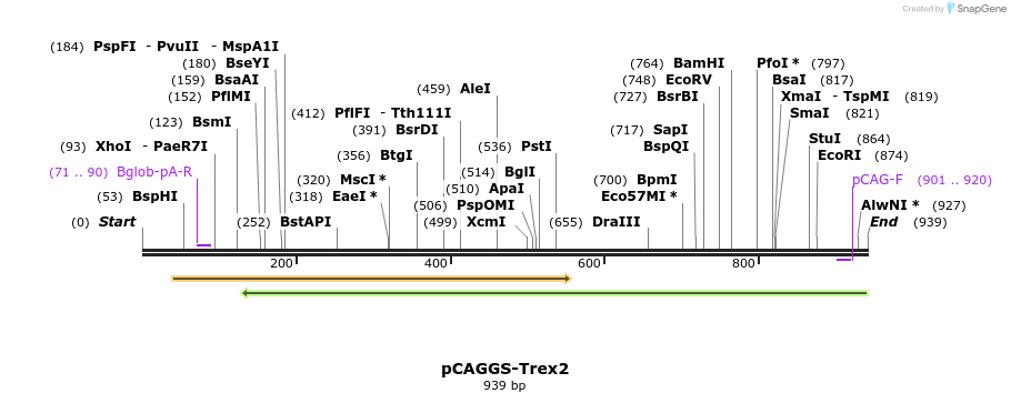 149557_map
