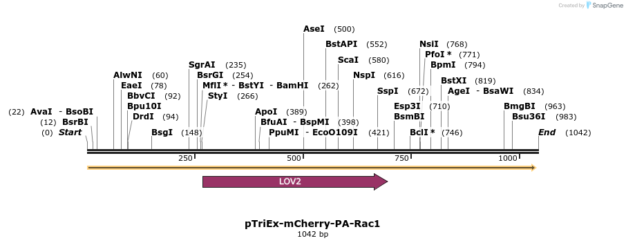 149560_map