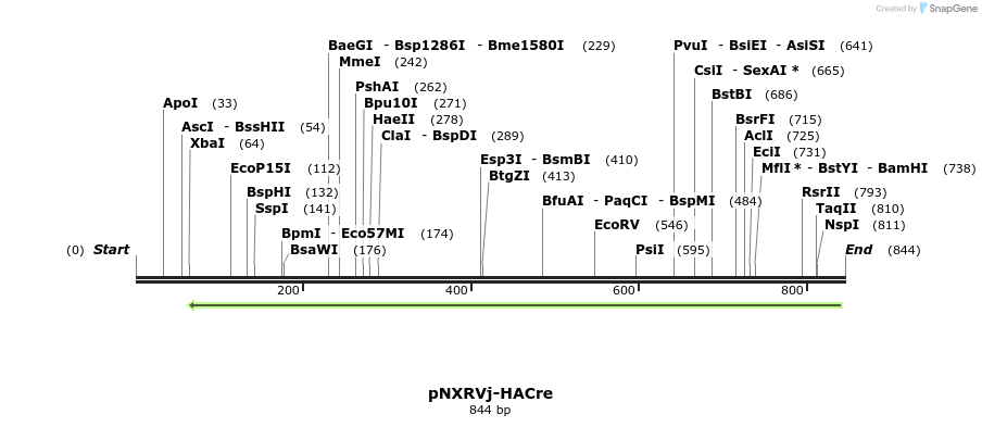 149566_map