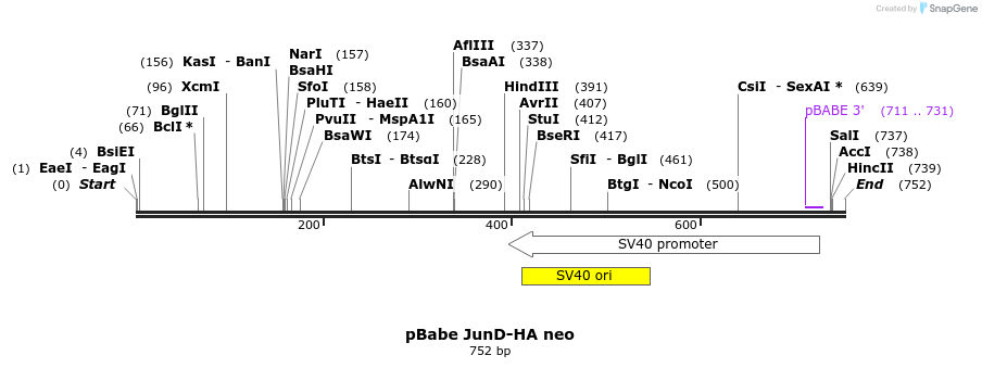 149567_map