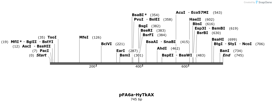149570_map