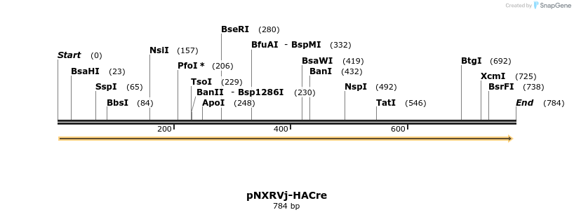 149577_map