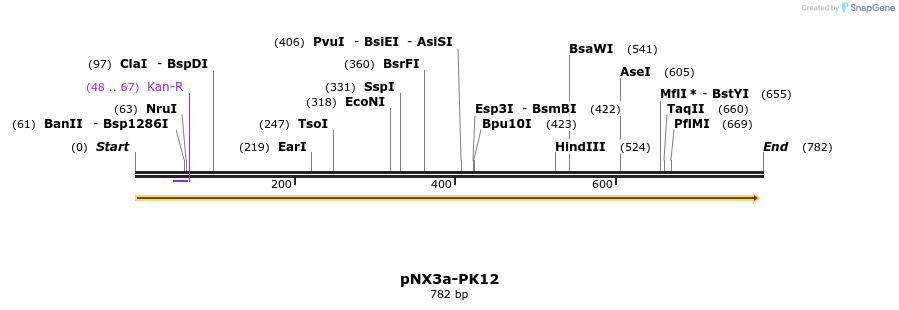 149579_map