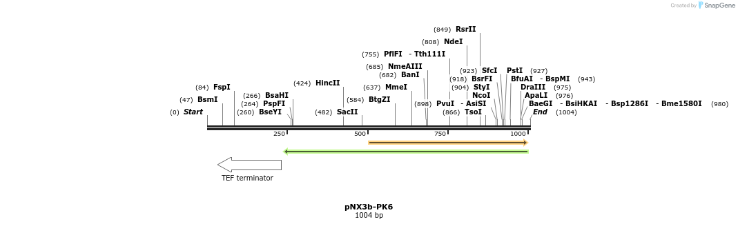 149583_map