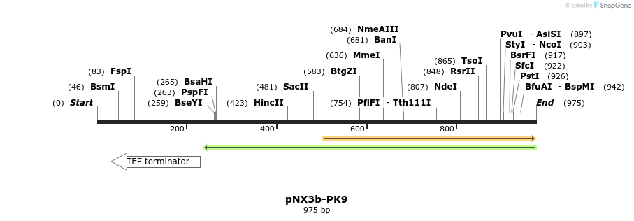 149589_map