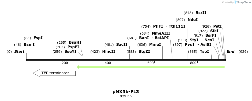 149594_map