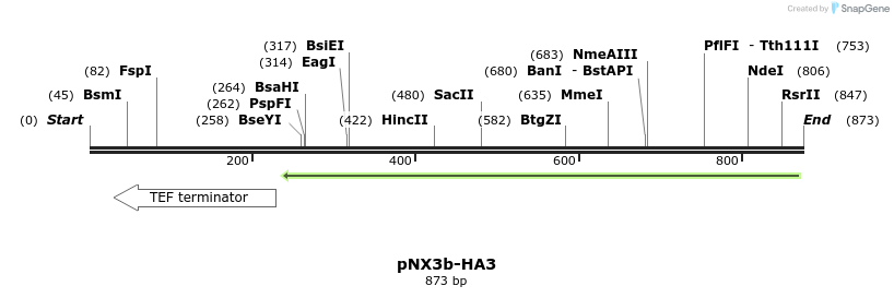 149596_map