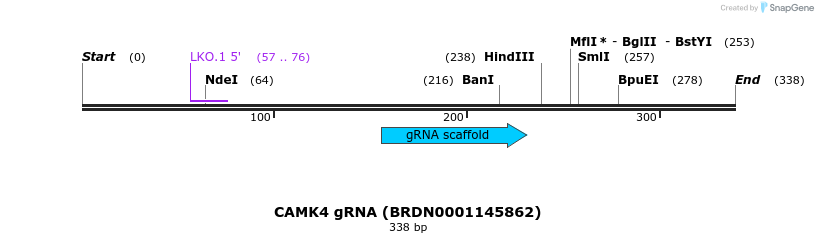 149626_map