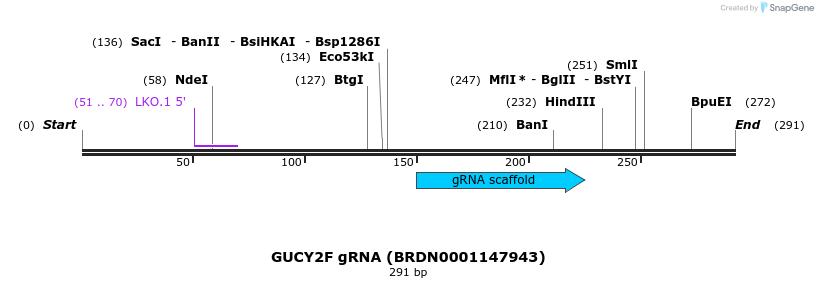 149629_map