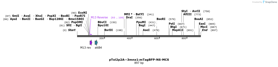 149641_map