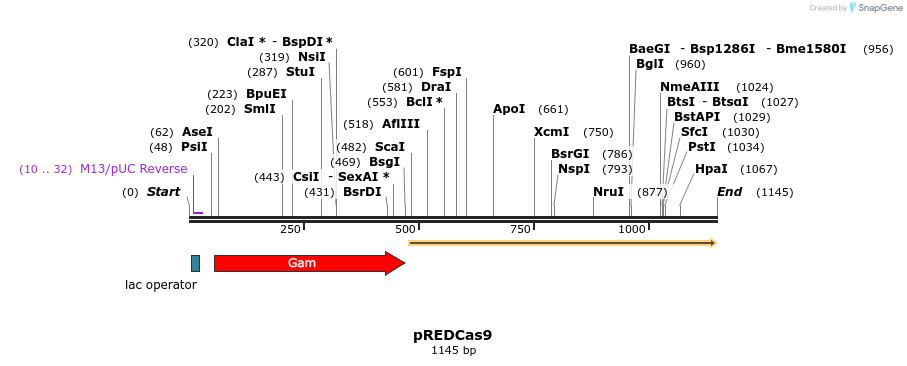 149644_map