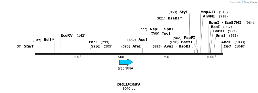 149646_map