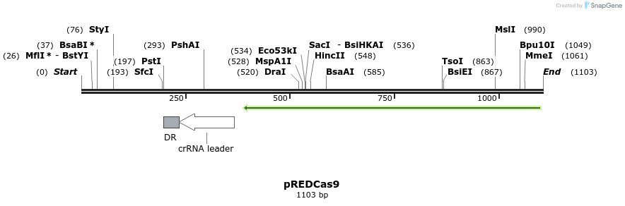 149647_map
