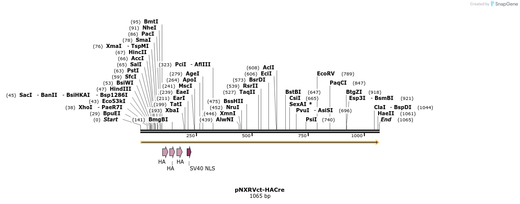 149649_map