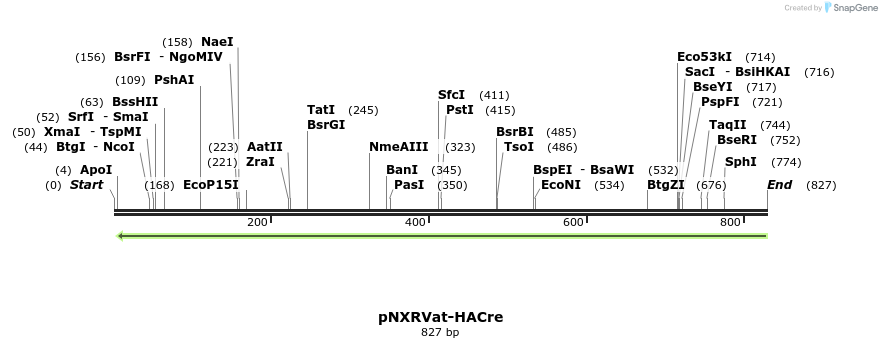 149656_map