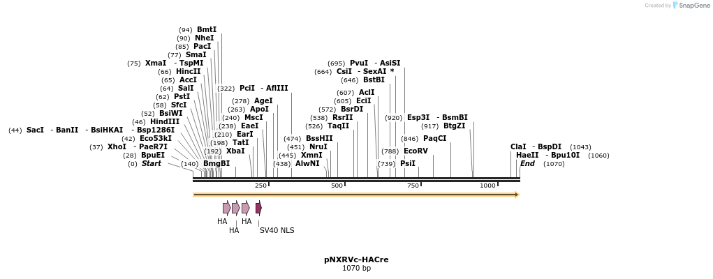 149658_map