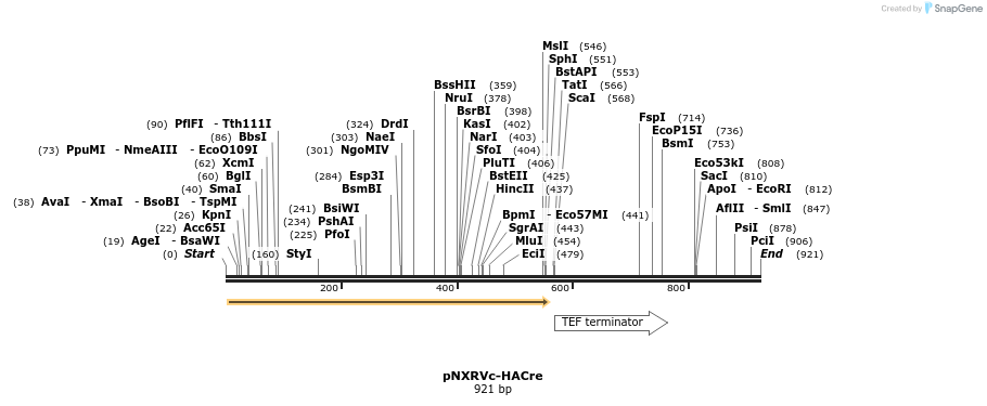 149661_map