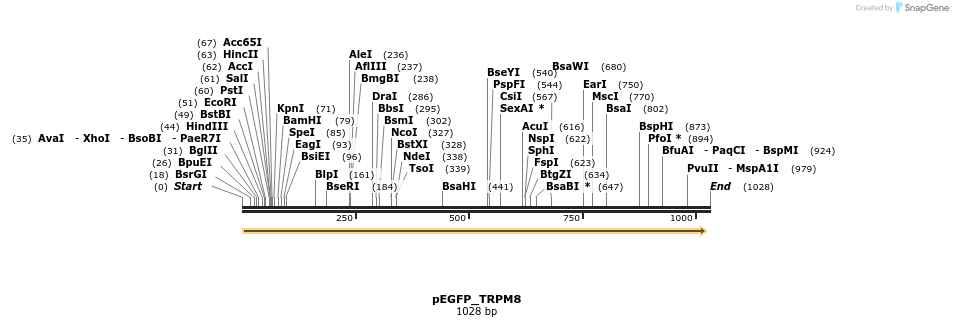 149664_map