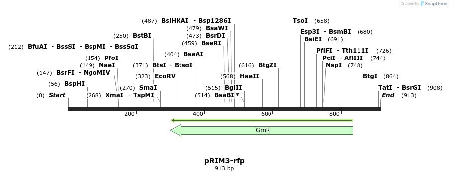 149665_map