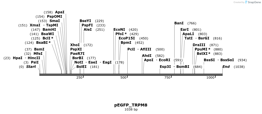 149670_map