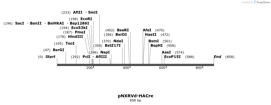 149671_map