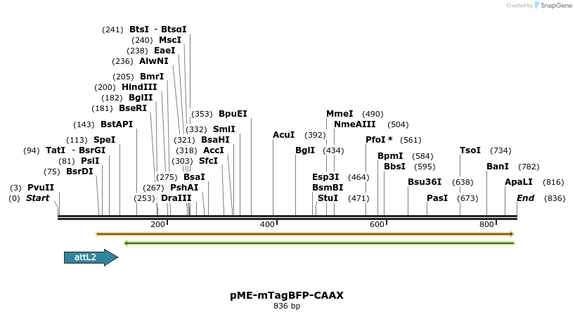 149674_map