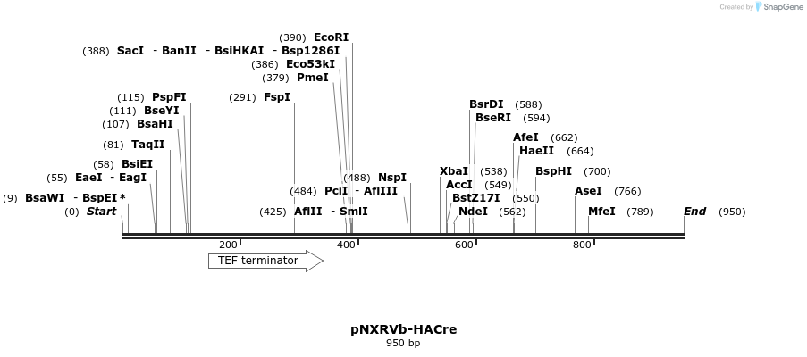 149682_map