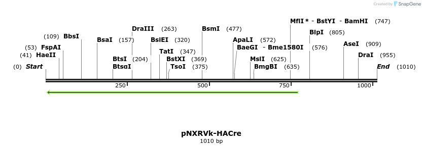149686_map