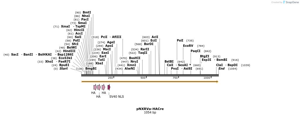 149688_map