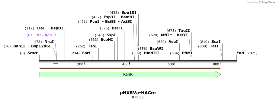 149691_map