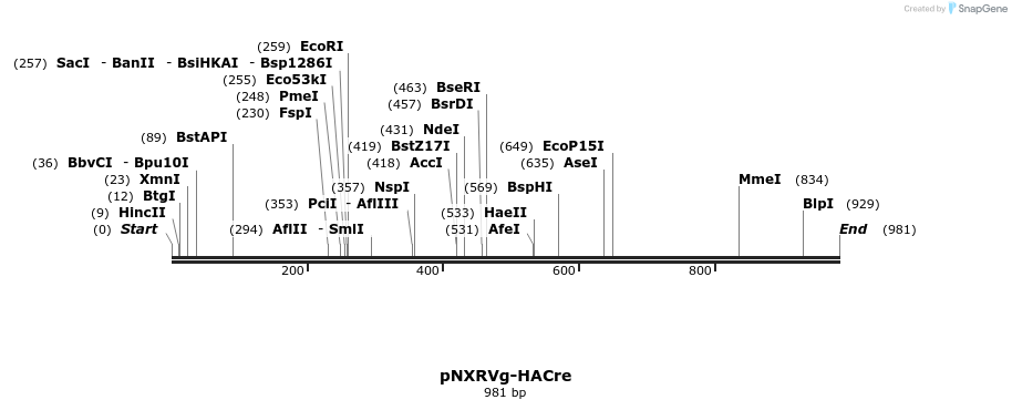 149693_map