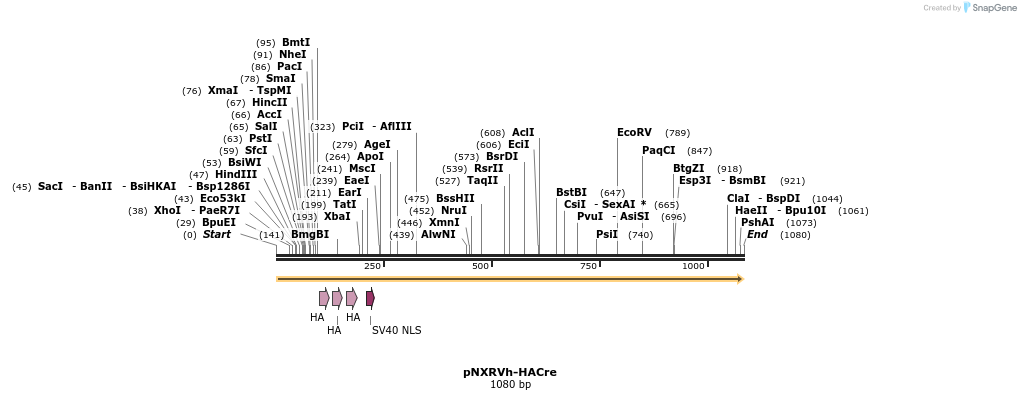 149694_map