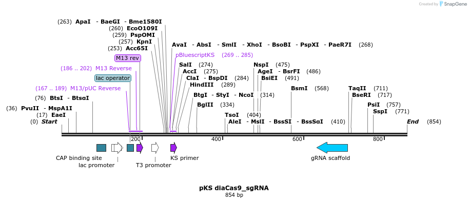 149702_map