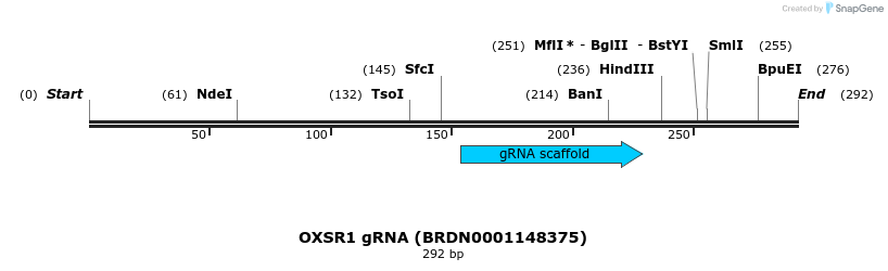 149725_map