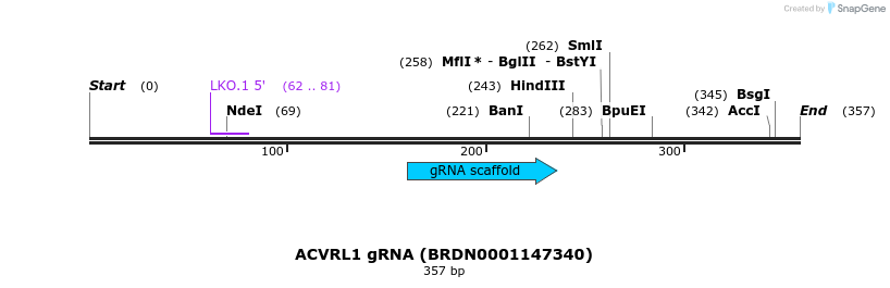 149730_map
