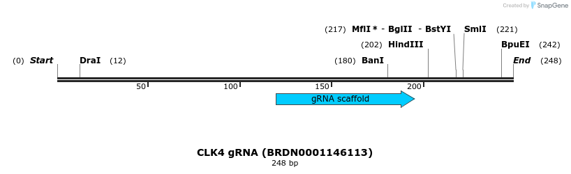 149732_map