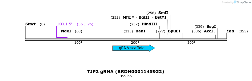 149736_map