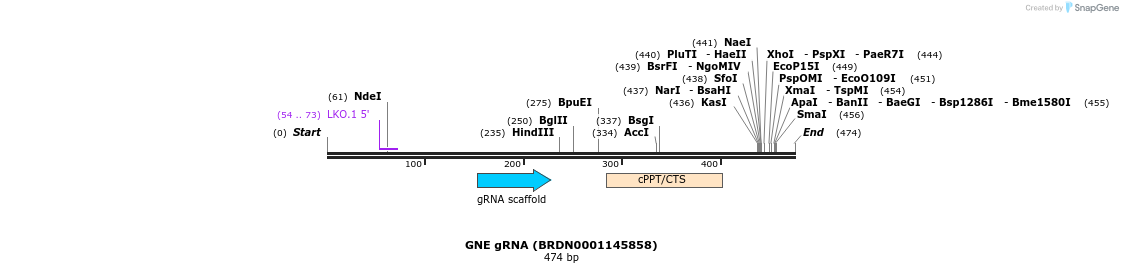 149737_map