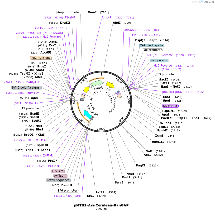 149739_map