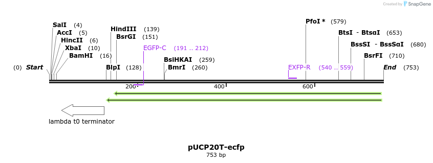 149743_map