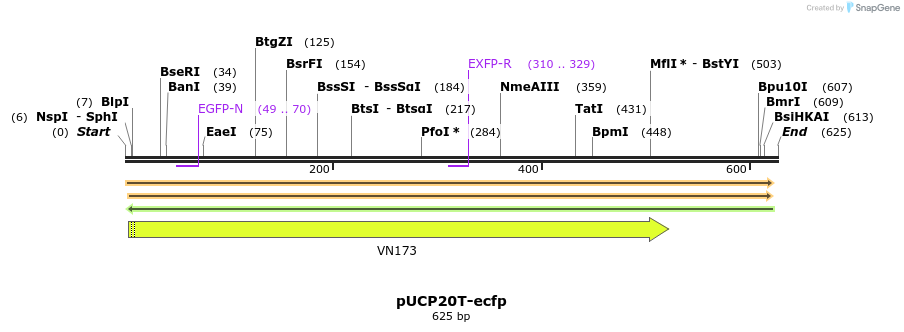 149744_map