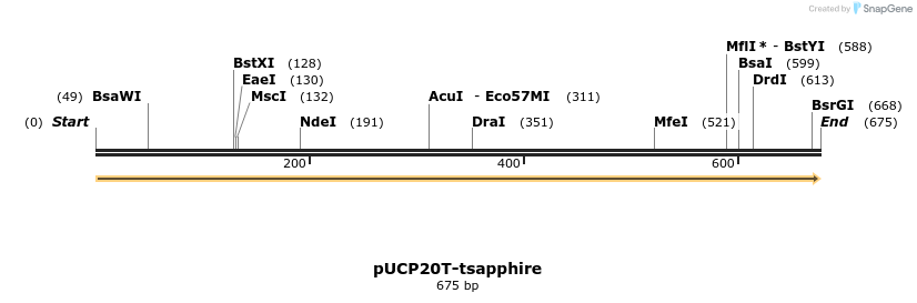 149746_map