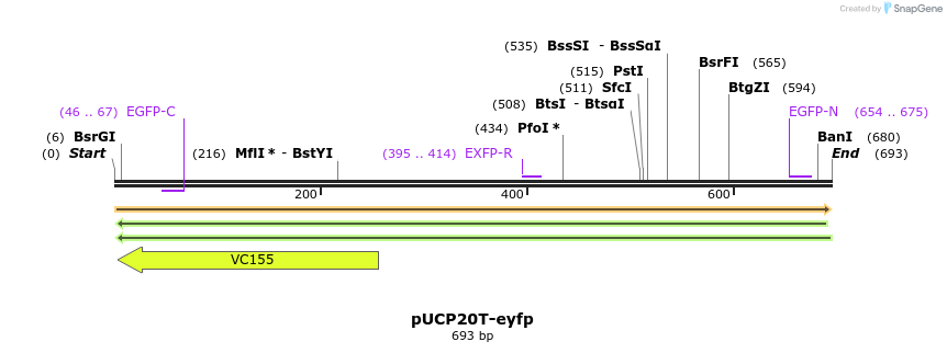 149750_map