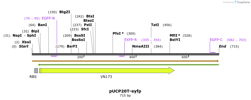 149751_map