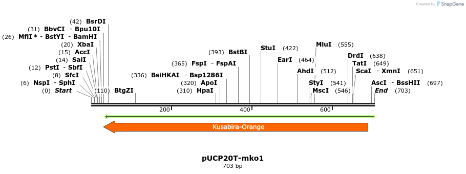 149752_map