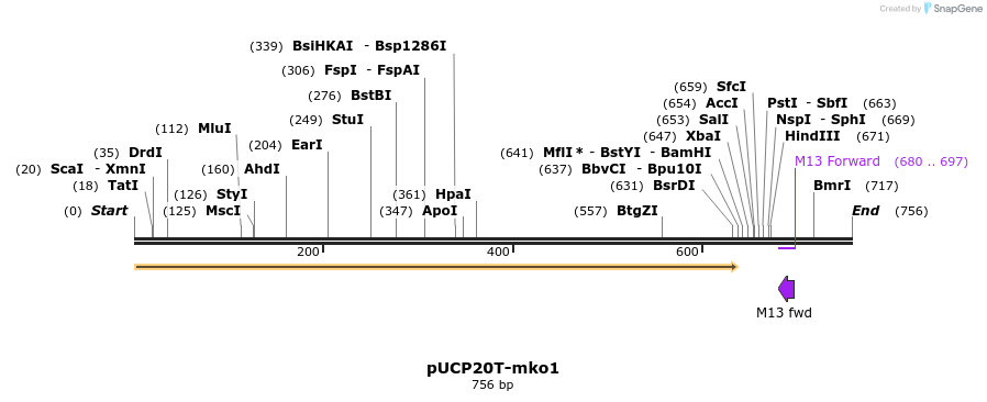 149755_map