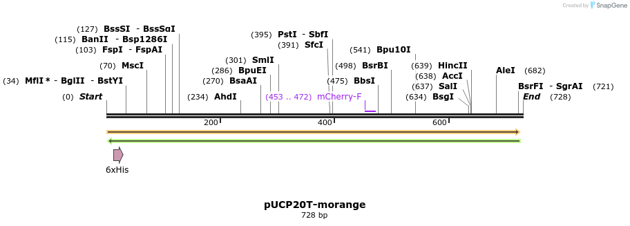 149759_map