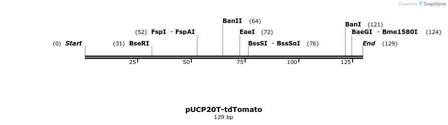 149768_map
