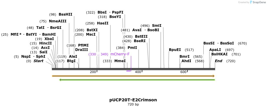 149775_map